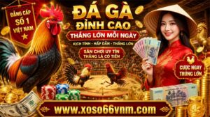 Đá Gà Online - XOSO66 Việt Nam