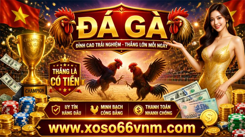 da ga 360 trải nghiệm Đá gà trên điện thoại