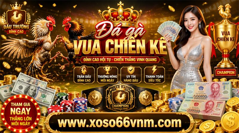bên thomo trải nghiệm Đá gà trên điện thoại