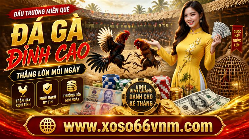 ba cọp thomo trải nghiệm Đá gà trên điện thoại