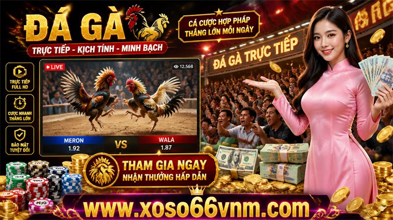 ba cọp thomo mẹo chơi an toàn và hiệu quả