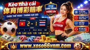 Kèo Nhà Cái - XOSO66 Việt Nam